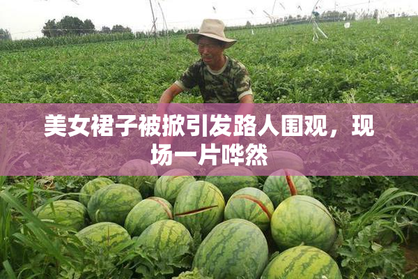 美女裙子被掀引发路人围观，现场一片哗然