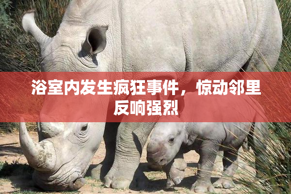 浴室内发生疯狂事件，惊动邻里反响强烈
