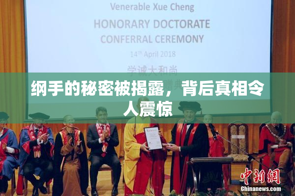 纲手的秘密被揭露，背后真相令人震惊