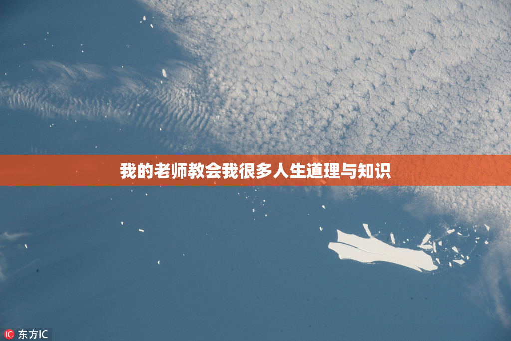 我的老师教会我很多人生道理与知识