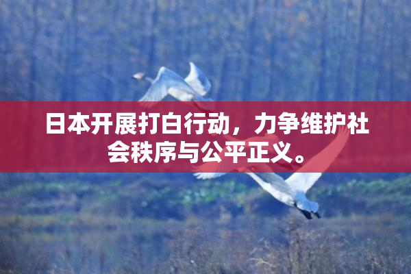 日本开展打白行动，力争维护社会秩序与公平正义。