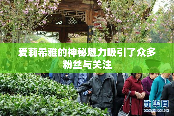 爱莉希雅的神秘魅力吸引了众多粉丝与关注