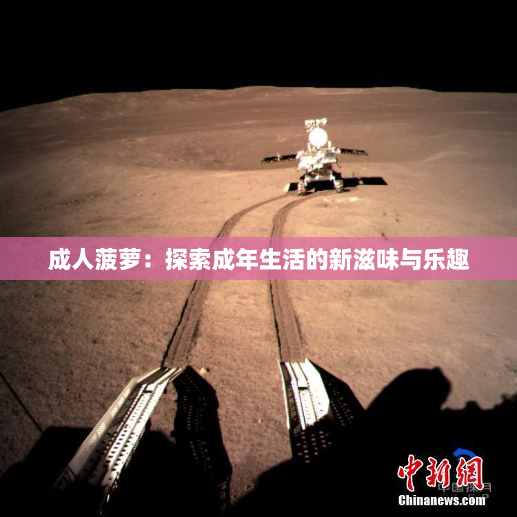 成人菠萝：探索成年生活的新滋味与乐趣