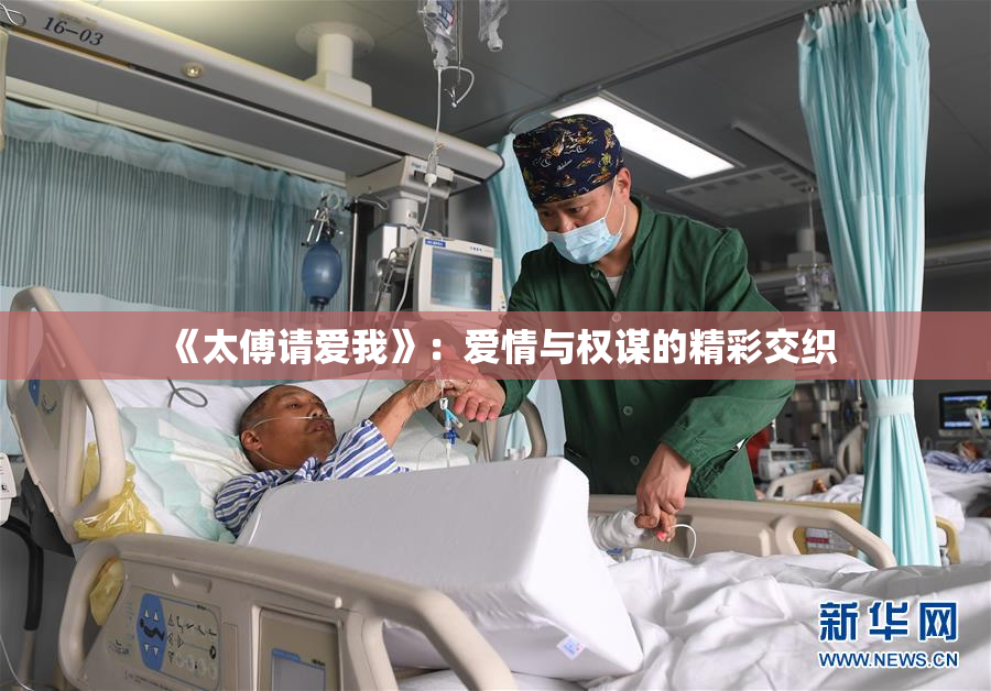 《太傅请爱我》：爱情与权谋的精彩交织