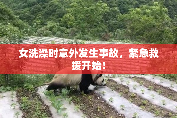 女洗澡时意外发生事故，紧急救援开始！