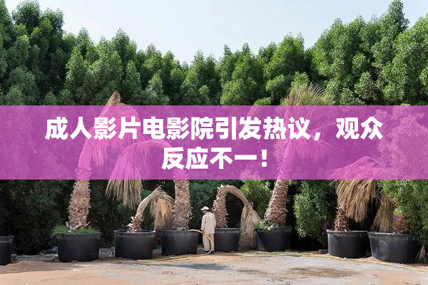 成人影片电影院引发热议，观众反应不一！