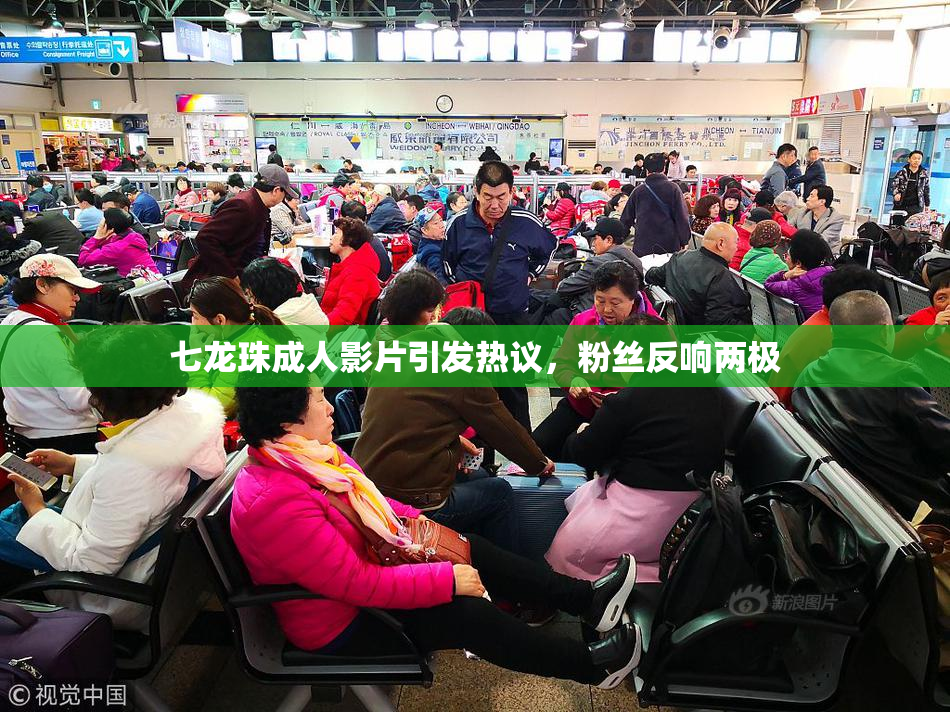 七龙珠成人影片引发热议，粉丝反响两极