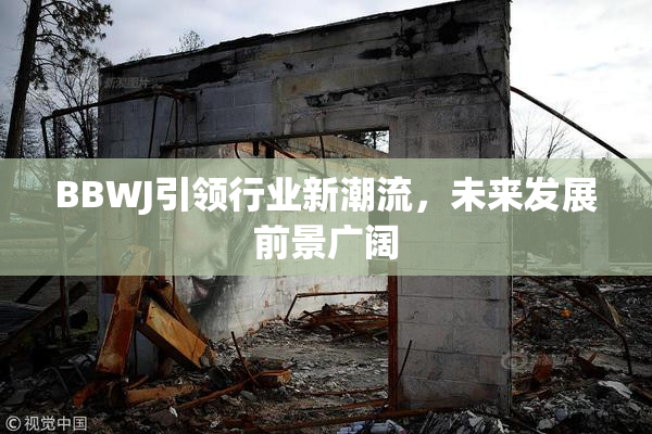 BBWJ引领行业新潮流，未来发展前景广阔