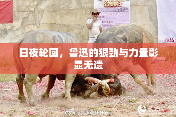 日夜轮回，鲁迅的狠劲与力量彰显无遗