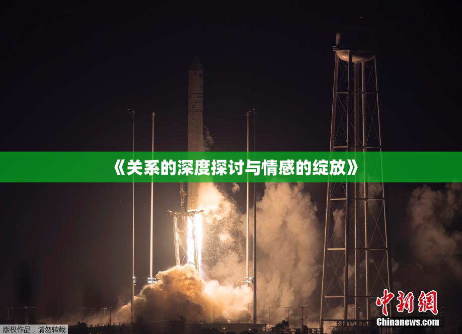 《关系的深度探讨与情感的绽放》