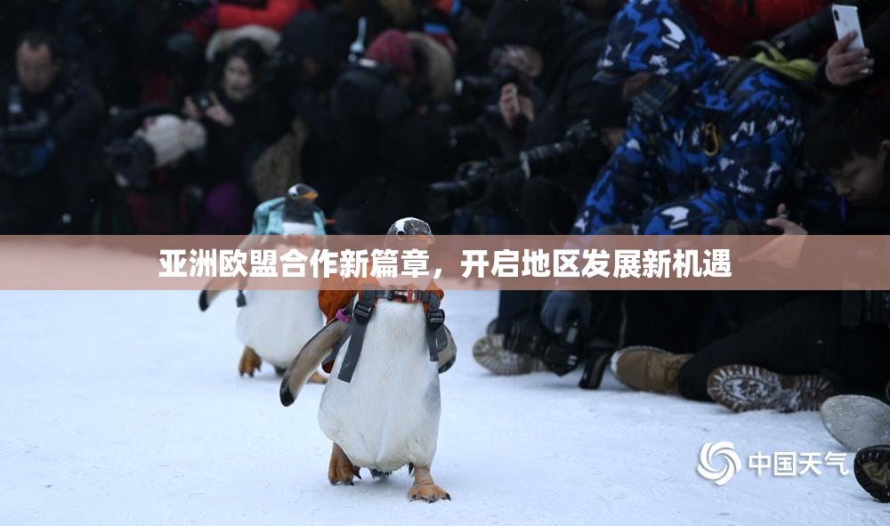 亚洲欧盟合作新篇章，开启地区发展新机遇