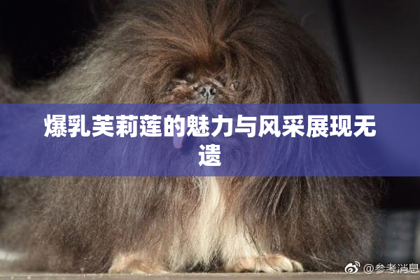 爆乳芙莉莲的魅力与风采展现无遗