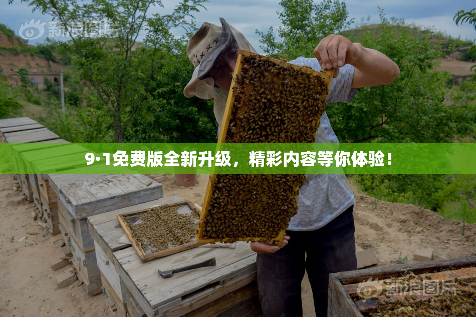 9·1免费版全新升级，精彩内容等你体验！