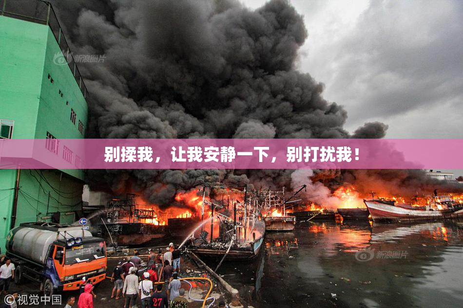 别揉我，让我安静一下，别打扰我！