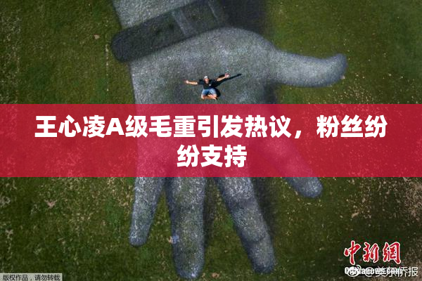 王心凌A级毛重引发热议，粉丝纷纷支持