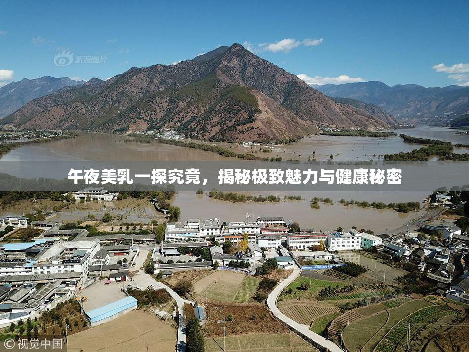 午夜美乳一探究竟，揭秘极致魅力与健康秘密