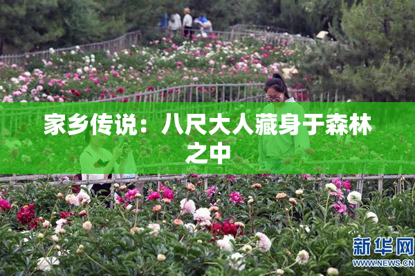 家乡传说：八尺大人藏身于森林之中