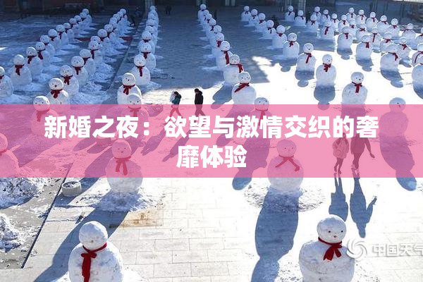 新婚之夜：欲望与激情交织的奢靡体验