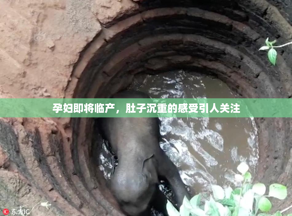 孕妇即将临产，肚子沉重的感受引人关注