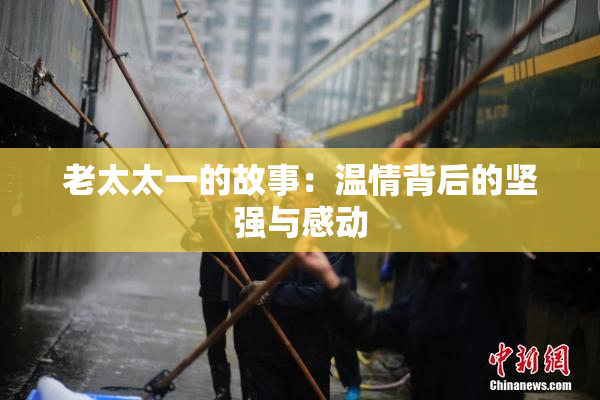 老太太一的故事：温情背后的坚强与感动