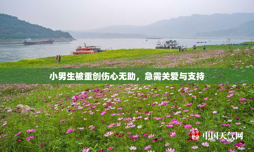 小男生被重创伤心无助，急需关爱与支持