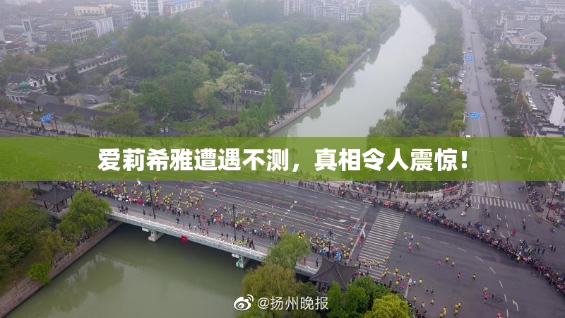 爱莉希雅遭遇不测，真相令人震惊！