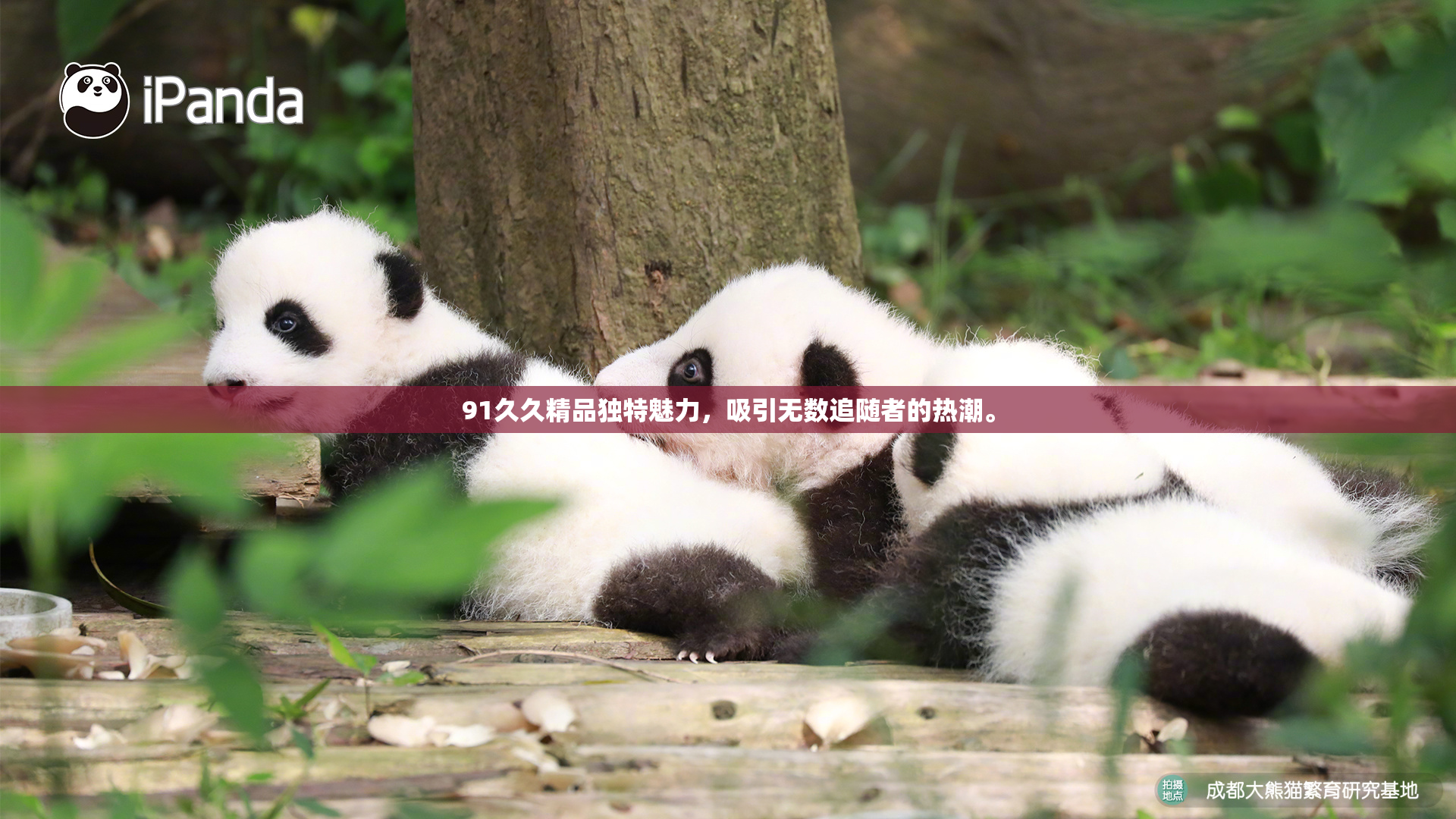 91久久精品独特魅力，吸引无数追随者的热潮。