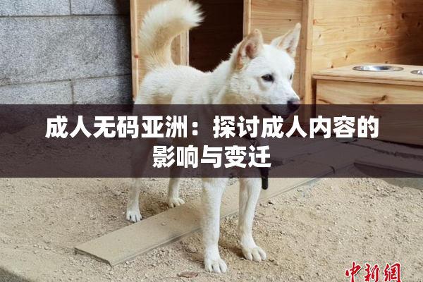 成人无码亚洲：探讨成人内容的影响与变迁
