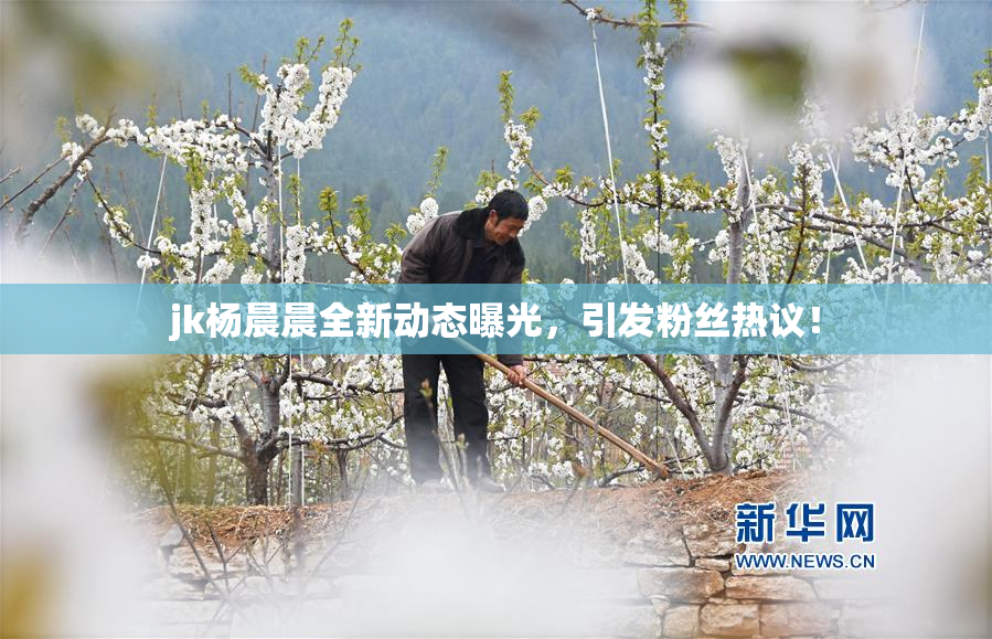 jk杨晨晨全新动态曝光，引发粉丝热议！
