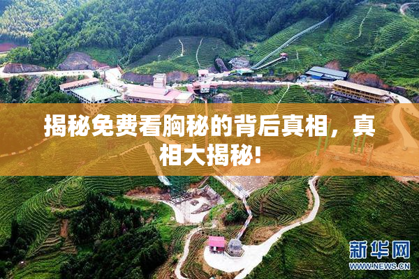 揭秘免费看胸秘的背后真相，真相大揭秘!