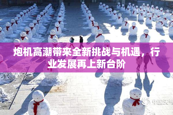 炮机高潮带来全新挑战与机遇，行业发展再上新台阶