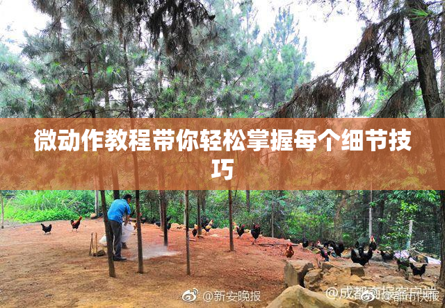 微动作教程带你轻松掌握每个细节技巧