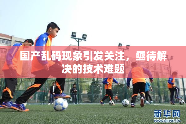 国产乱码现象引发关注，亟待解决的技术难题