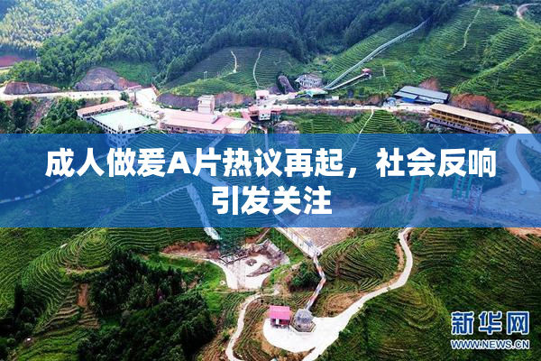 成人做爰A片热议再起，社会反响引发关注