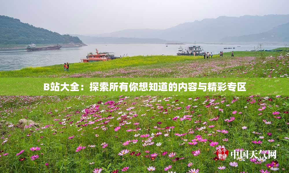 B站大全：探索所有你想知道的内容与精彩专区