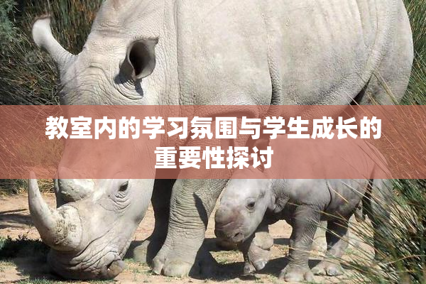教室内的学习氛围与学生成长的重要性探讨
