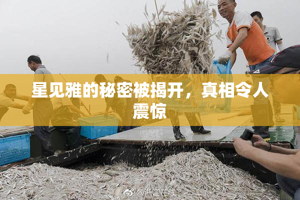 星见雅的秘密被揭开，真相令人震惊