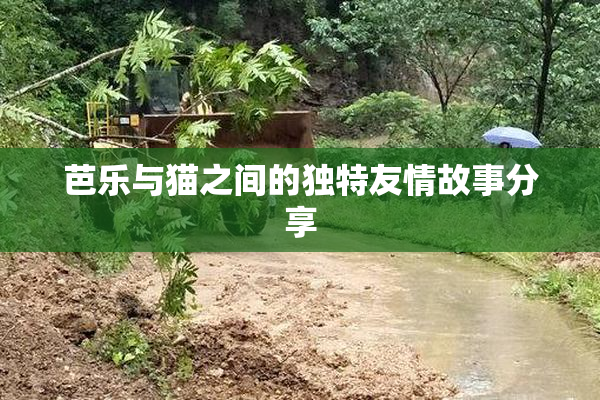 芭乐与猫之间的独特友情故事分享