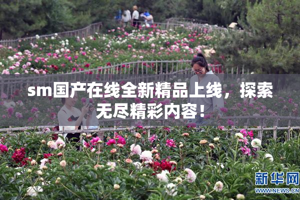 sm国产在线全新精品上线，探索无尽精彩内容！