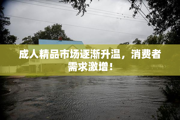 成人精品市场逐渐升温，消费者需求激增！