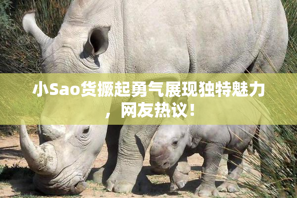 小Sao货撅起勇气展现独特魅力，网友热议！