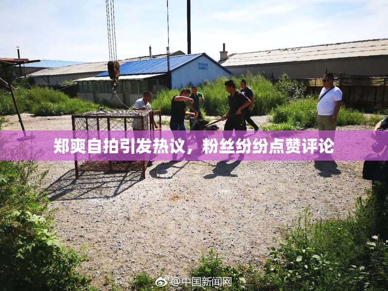 郑爽自拍引发热议，粉丝纷纷点赞评论