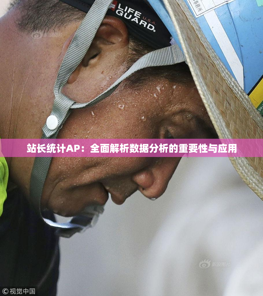 站长统计AP：全面解析数据分析的重要性与应用