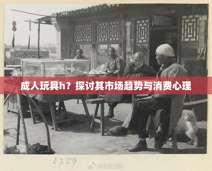 成人玩具h？探讨其市场趋势与消费心理