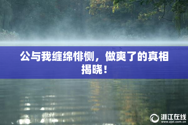 公与我缠绵悱恻，做爽了的真相揭晓！