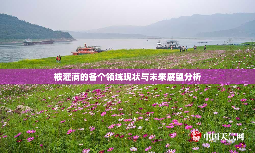 被灌满的各个领域现状与未来展望分析