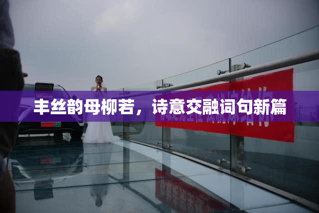 丰丝韵母柳若，诗意交融词句新篇