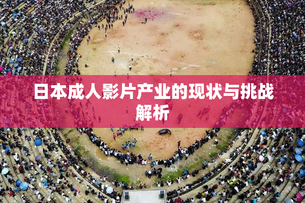 日本成人影片产业的现状与挑战解析