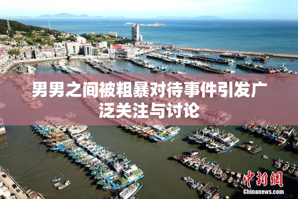 男男之间被粗暴对待事件引发广泛关注与讨论