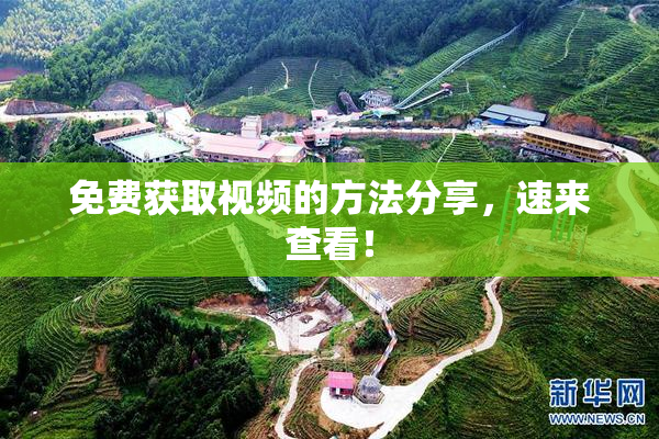 免费获取视频的方法分享，速来查看！